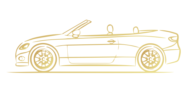 Popular Cartypes